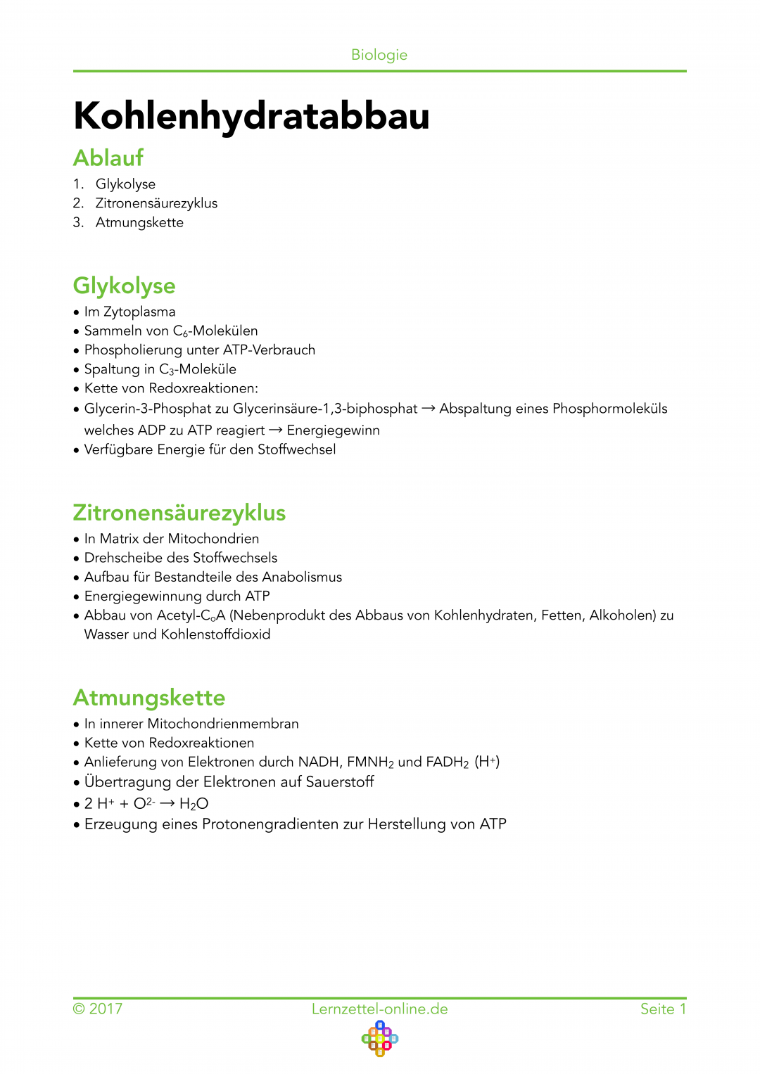 Lernzettel Kohlenhydratabbau Seite 1